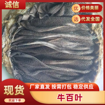 现宰鲜百叶，精修去油，大叶片，不掉毛，长期有货，诚信第一