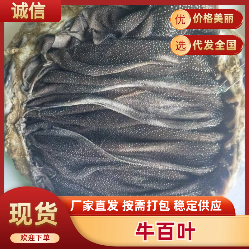 现宰鲜百叶，精修去油，大叶片，不掉毛，长期有货，诚信第一