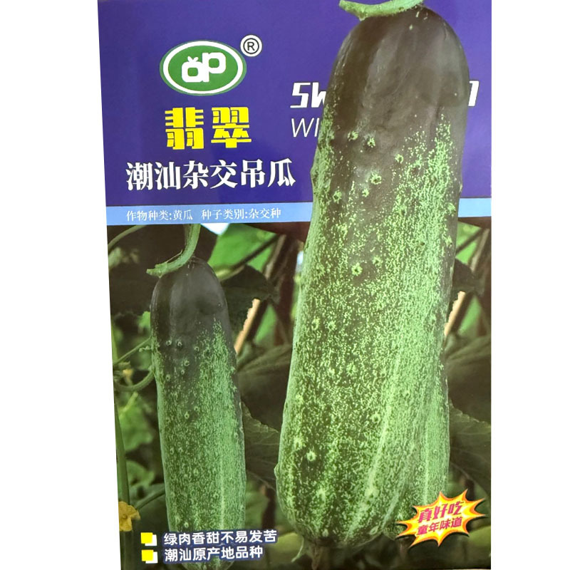 潮汕杂交吊瓜种子中早熟单瓜约1.2公斤绿肉香甜