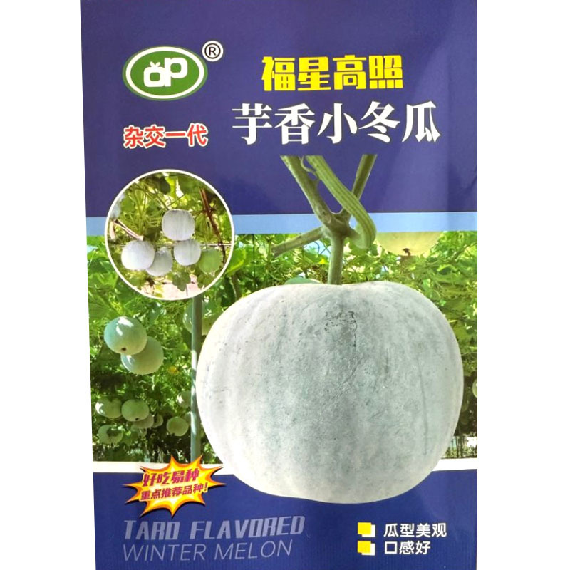 芋香小冬瓜种子小型早熟冬瓜种子单瓜1.2-2公斤