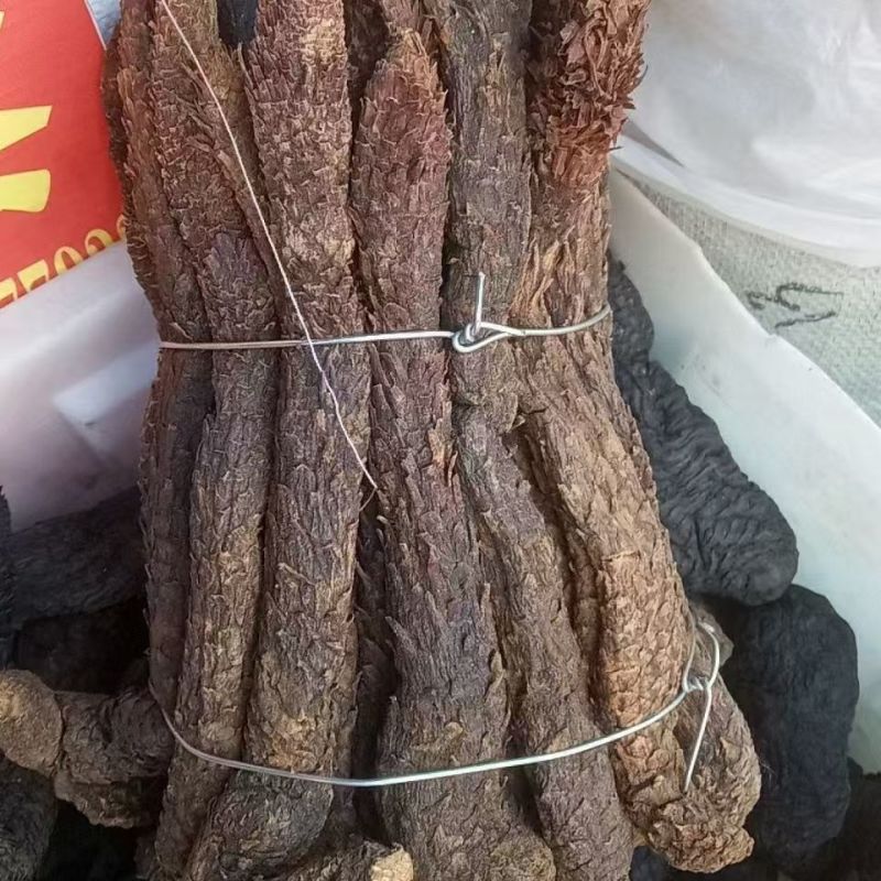 肉苁蓉新疆肉苁蓉批发