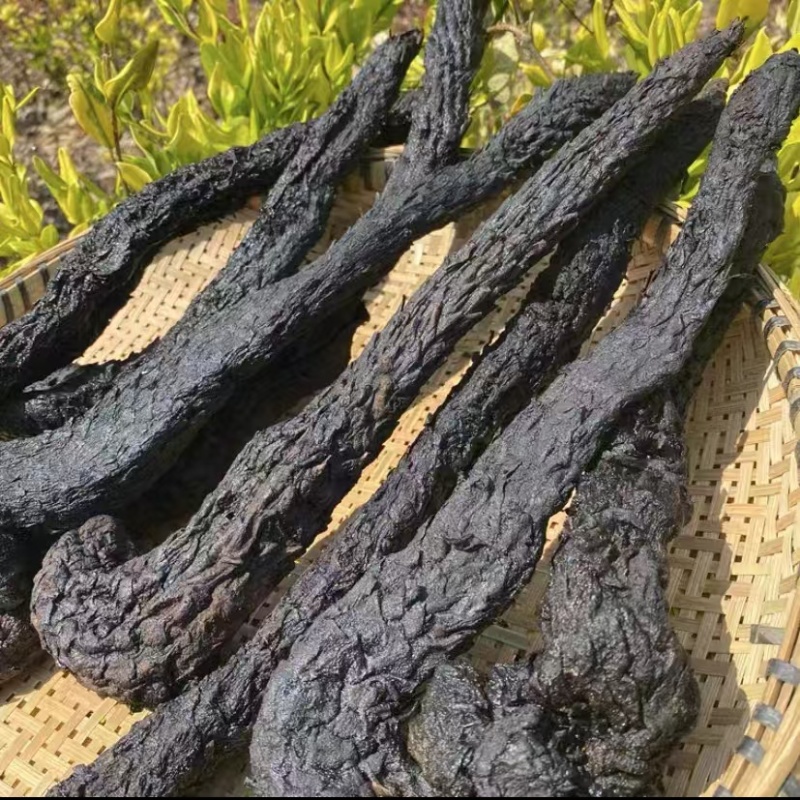 肉苁蓉新疆肉苁蓉批发