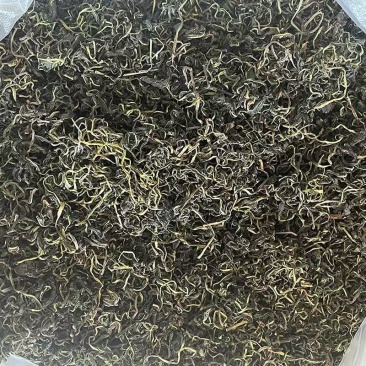 蒲公英叶子蒲公英茶蒲公英批发