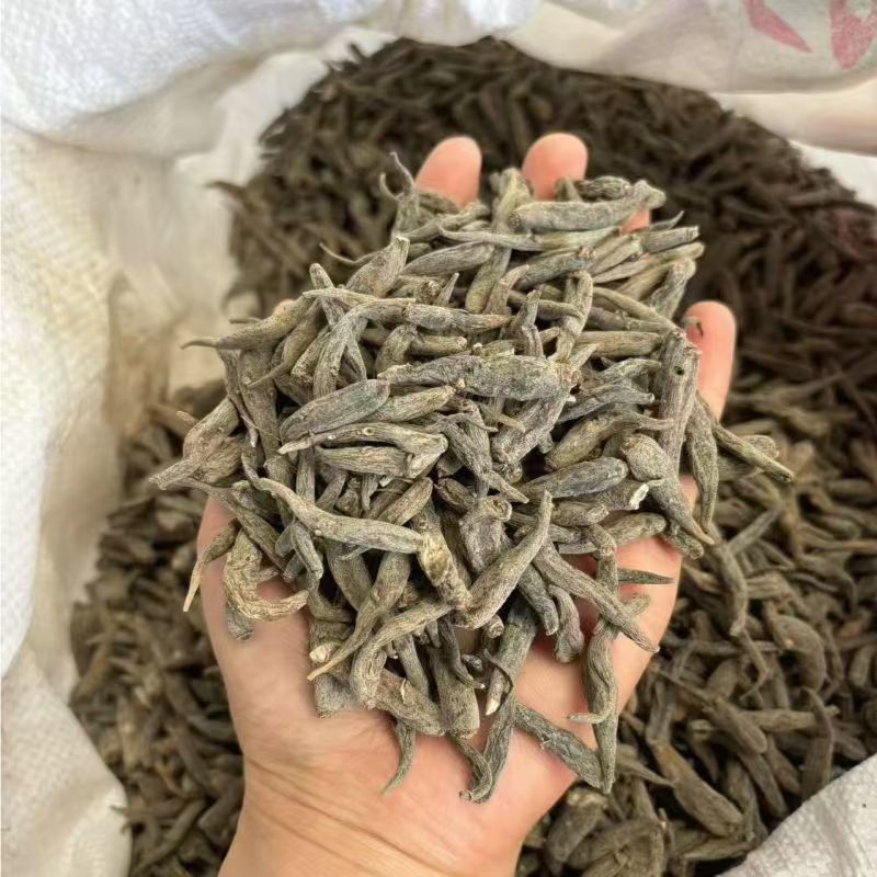 双参双肾参阴阳双肾参批发