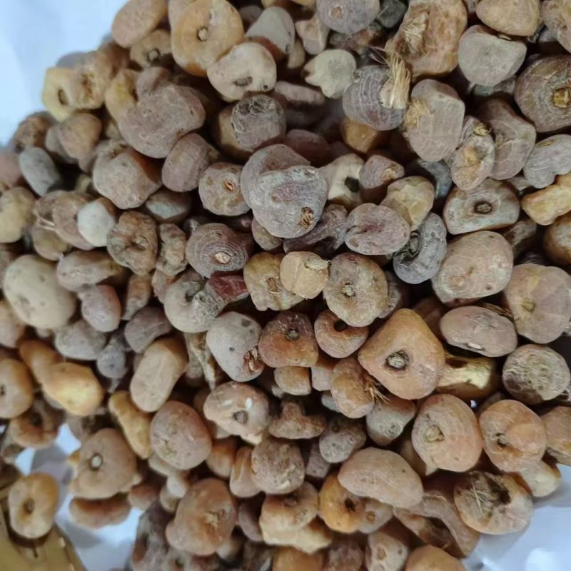 玉皇丹玉毛慈菇山慈菇皇丹批发