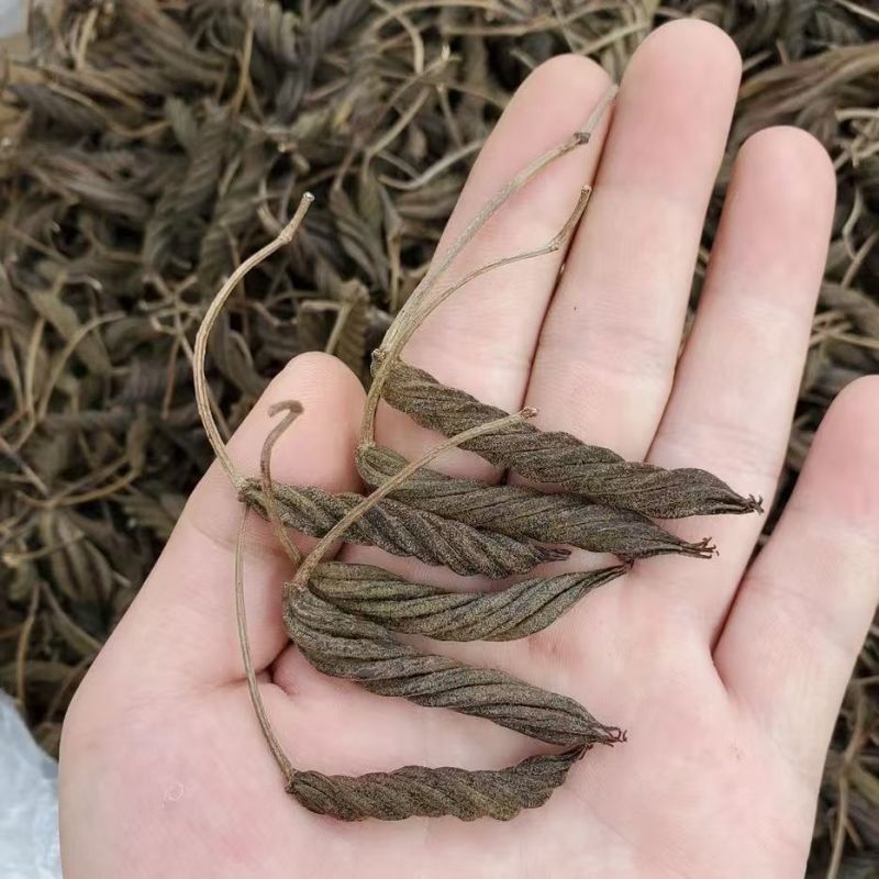 虫草王火麻索青芷兰溪茶火麻索批发