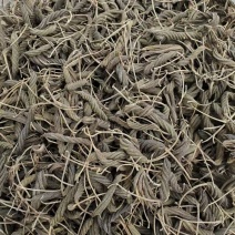 虫草王火麻索青芷兰溪茶火麻索批发