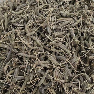 虫草王火麻索青芷兰溪茶火麻索批发