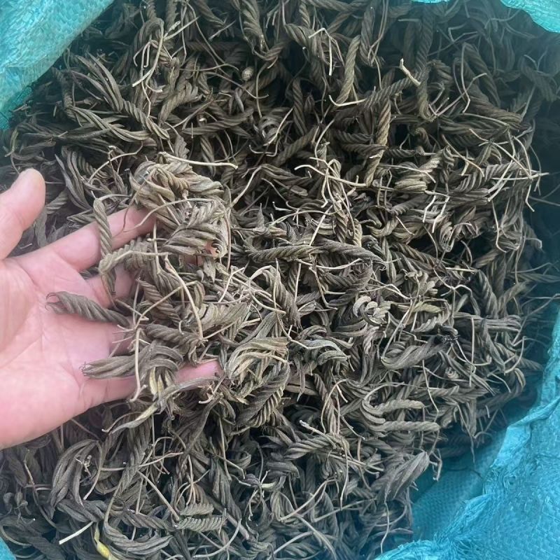 虫草王火麻索青芷兰溪茶火麻索批发