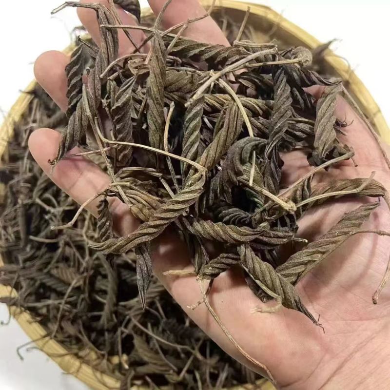 虫草王火麻索青芷兰溪茶火麻索批发
