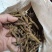 虫草王火麻索青芷兰溪茶火麻索批发