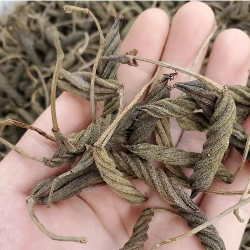 虫草王火麻索青芷兰溪茶火麻索批发
