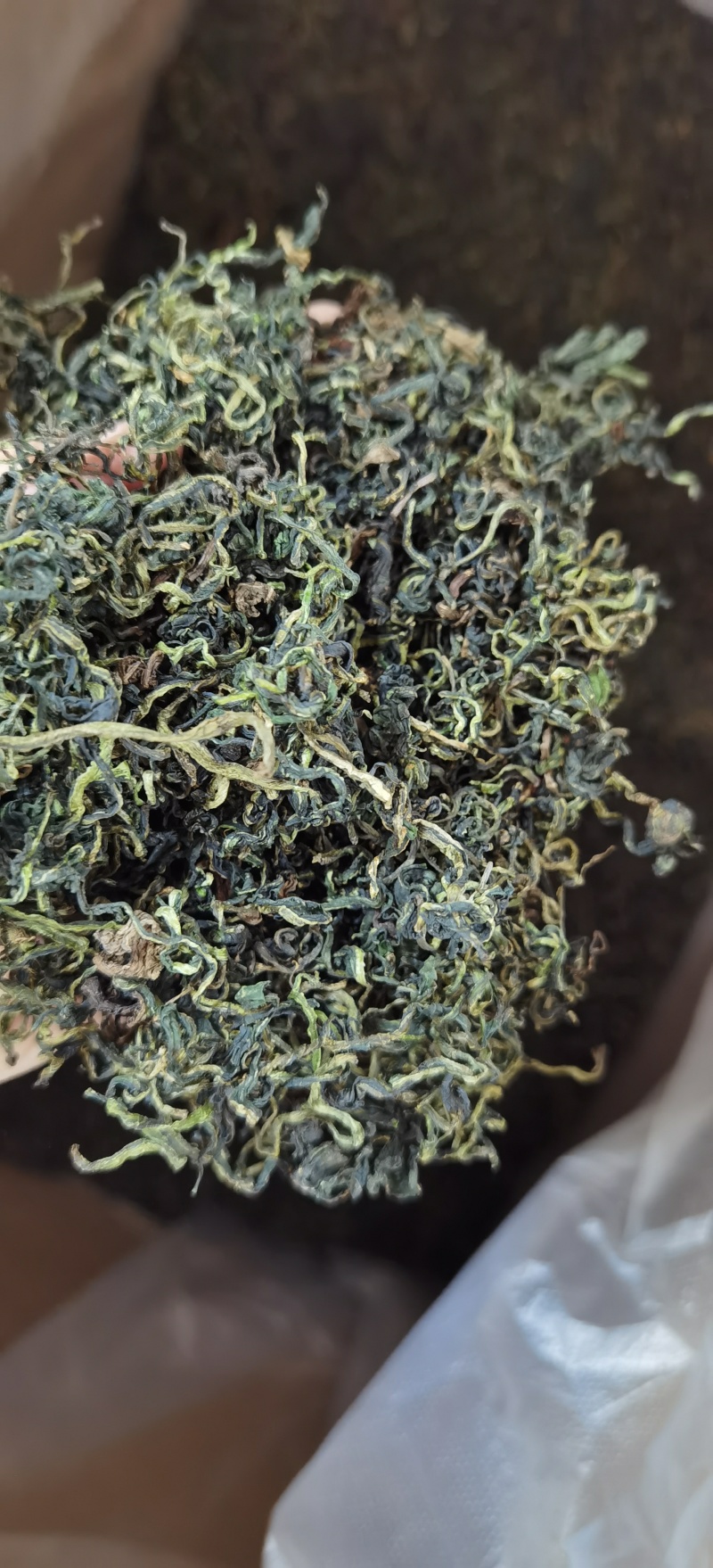 蒲公英批发蒲公英一手货源量大价优对接实体批发零售