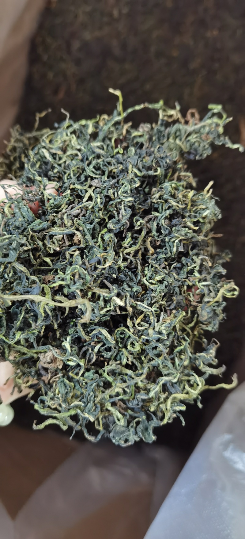 蒲公英批发蒲公英一手货源量大价优对接实体批发零售