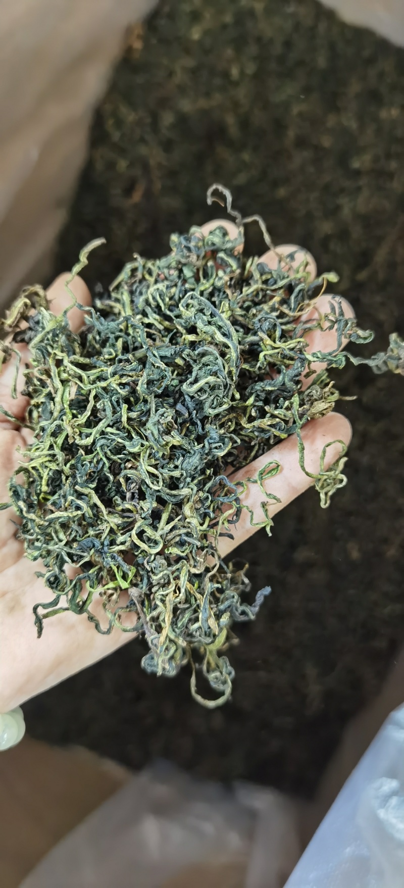 蒲公英批发蒲公英一手货源量大价优对接实体批发零售