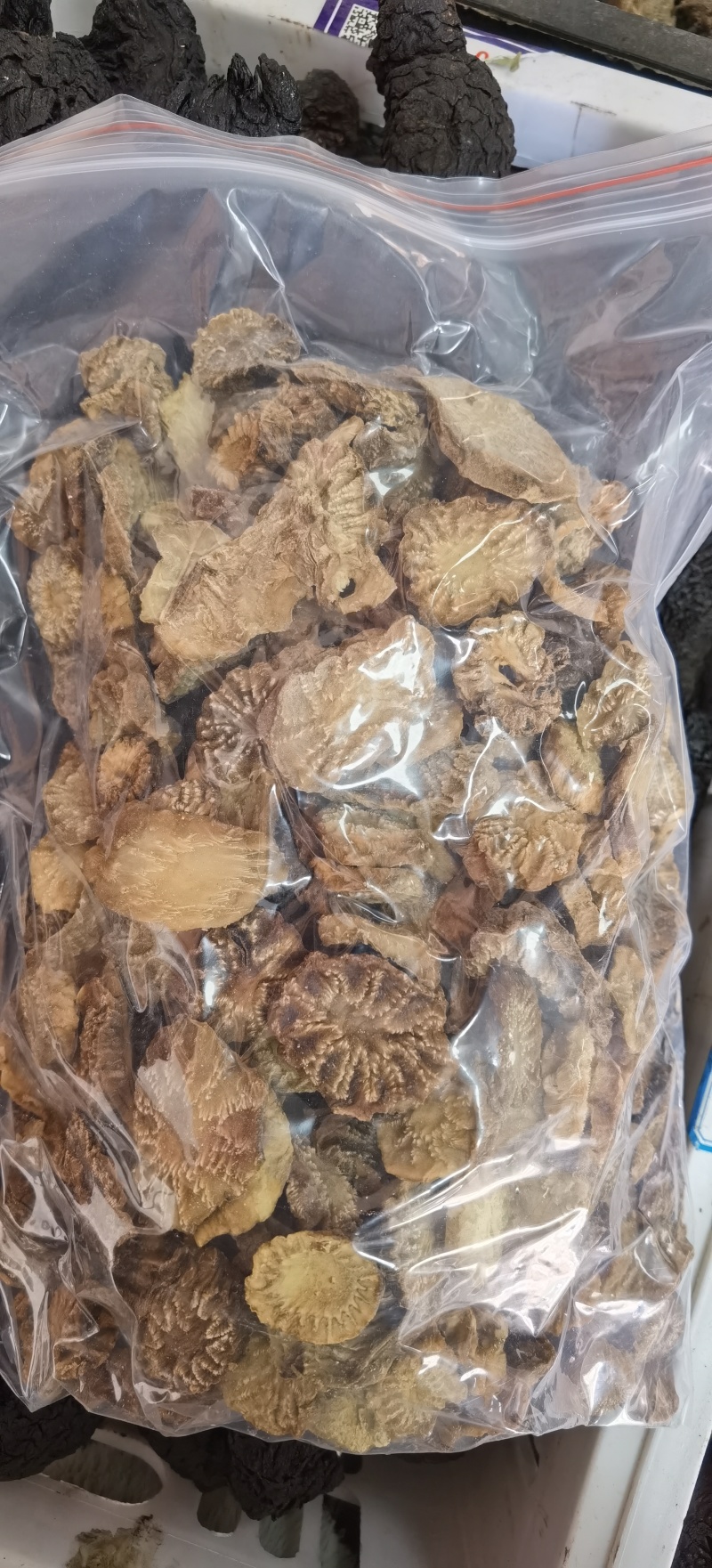 肉苁蓉个子一手货源量大价优对接实体批发零售