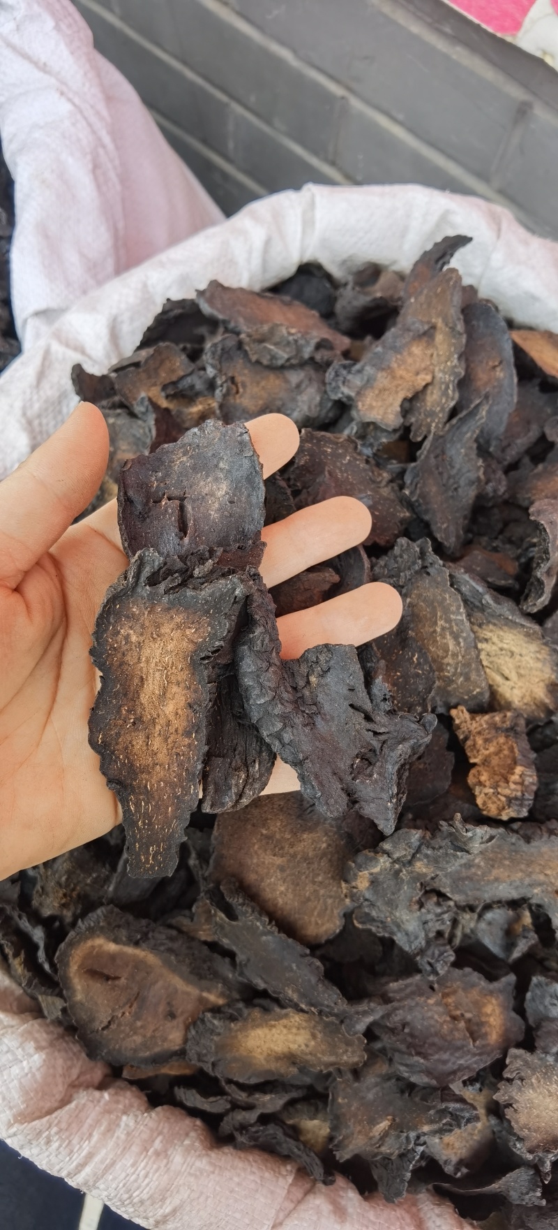 肉苁蓉硬质片一手货源量大价优对接实体批发零售