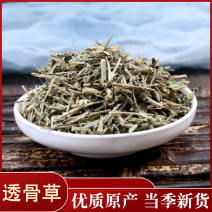 透骨草各种草类中药材批发各种规格中药材可私聊店主