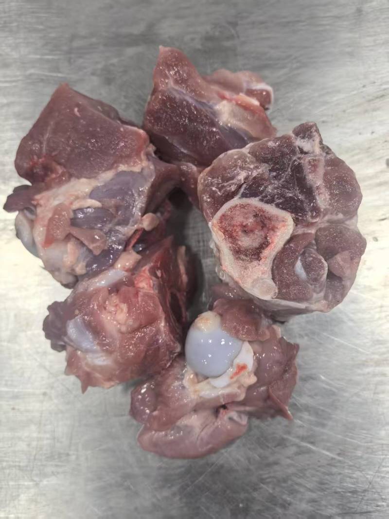多肉前骨肉前骨熬汤火锅专用食材大量有货
