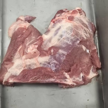 【货源充足】肉前排10Kg可做红烧排骨，黄焖排骨饭等