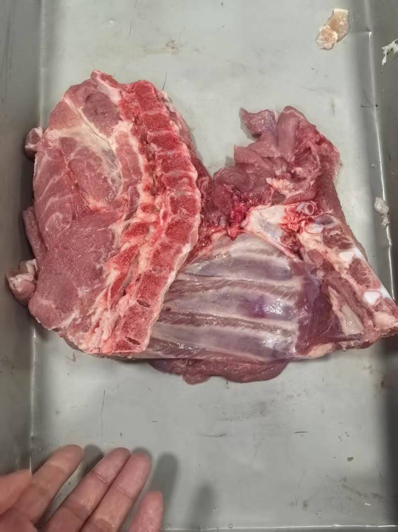 【货源充足】肉前排10Kg可做红烧排骨，黄焖排骨饭等