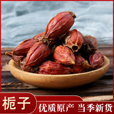 栀子山栀子可泡茶调料中药材枝子药用栀子批发零售各种规格