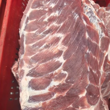 精肋排10Kg（7-9片）（9-13片）支持加工厂订做