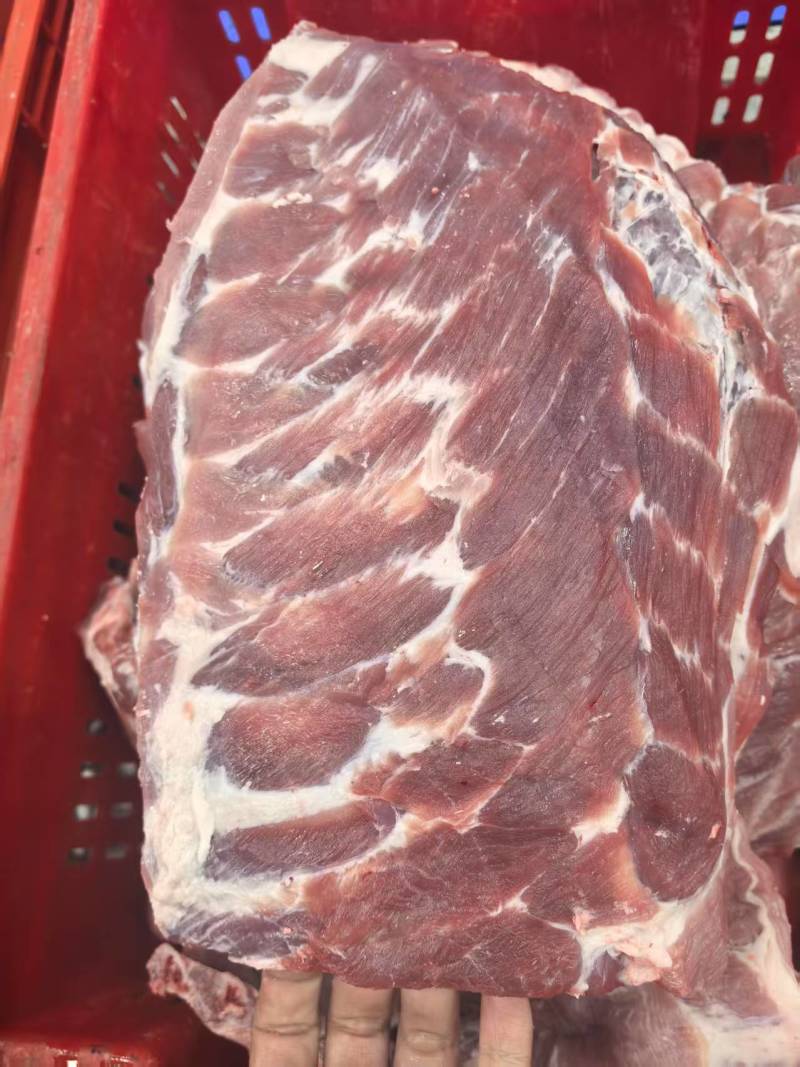 精肋排10Kg（7-9片）（9-13片）支持加工厂订做
