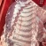 精肋排10Kg（7-9片）（9-13片）支持加工厂订做