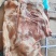 前上肉10Kg（4-6片）支持加工厂订做