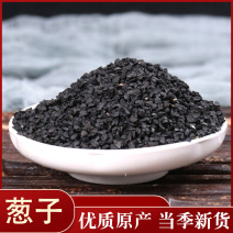 葱籽不是种子药用非韭菜籽药用批发零售各种规格中药材