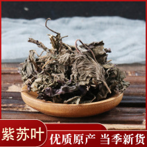 紫苏叶药用干货各种中药材批发零售各种紫苏叶中药材
