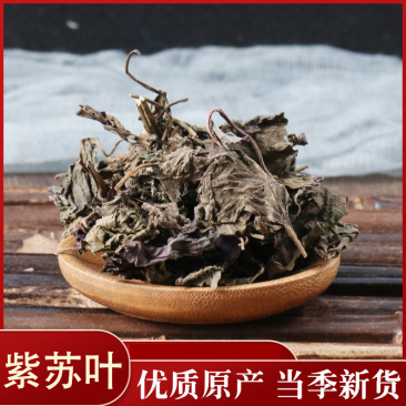 紫苏叶药用干货各种中药材批发零售各种紫苏叶中药材