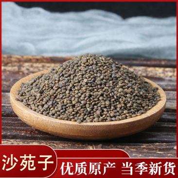 沙苑子药用籽类沙苑子可食用批发零售各种规格中药材