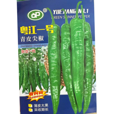 粤江一号青皮尖椒种子中早熟单果重约50-80克