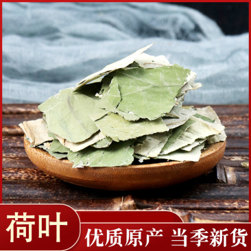 荷叶批发零售各种规格中药材荷叶块儿