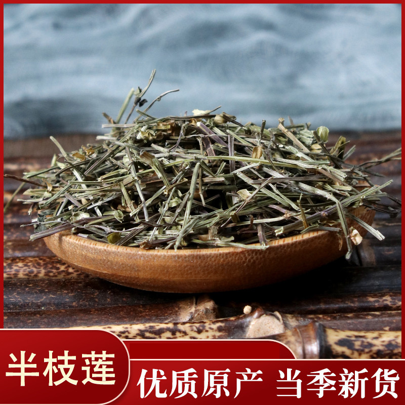 半枝莲各种中药材批发质量保证产地直销半枝莲