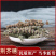 荆芥穗各种中药材批发质量保证产地直销
