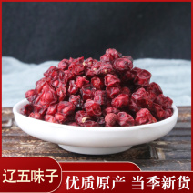 北五味子东北辽五味中药材批发零售各种规格中药材