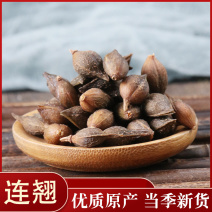 连翘青翘药用各种中药材批发零售各种规格中药材