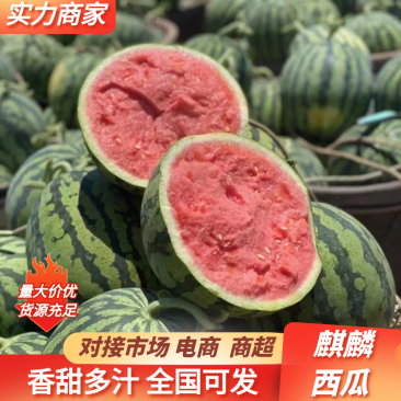 （强烈推荐）麒麟，美都，无籽西瓜，产地直发，货源充足