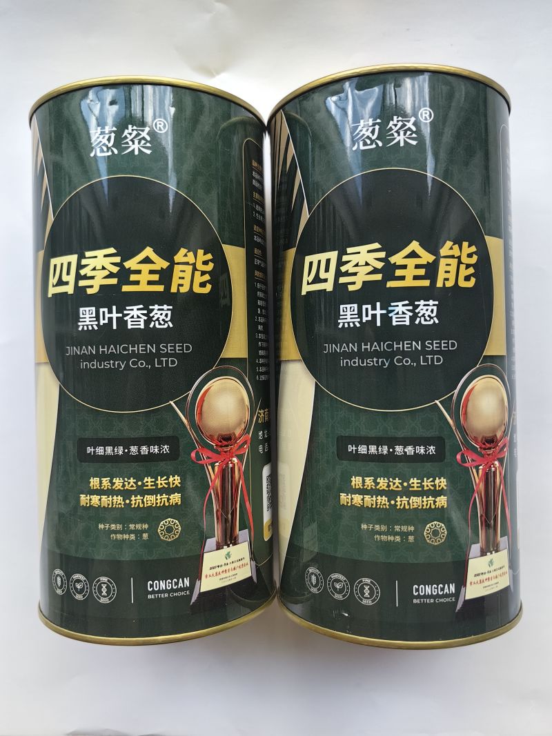四季全能黑叶香葱种子叶细黑绿耐热耐寒抗倒抗抗病