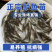 鲈鱼苗各种规格产地直供