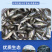鲈鱼苗各种规格产地直供