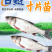 白鲢苗各种规格产地直供提供免费技术指导