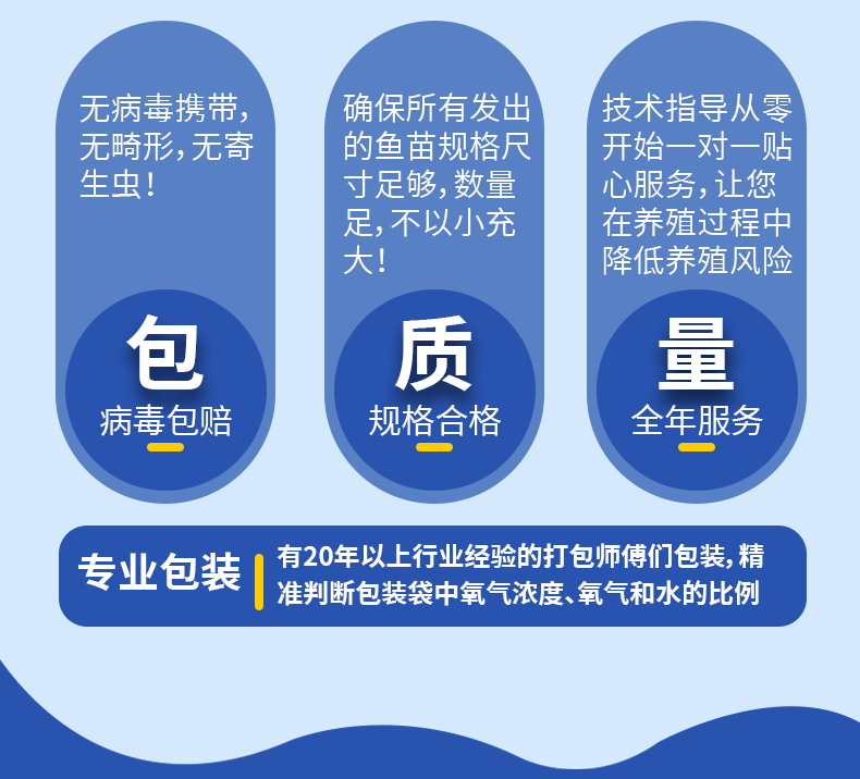 白鲢苗各种规格产地直供提供免费技术指导