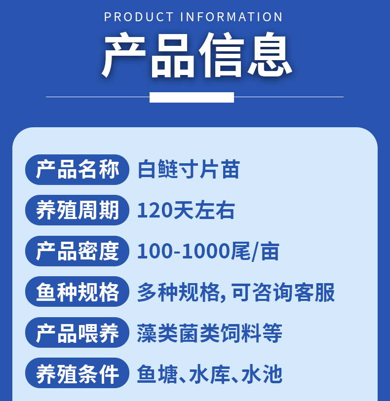 白鲢苗各种规格产地直供提供免费技术指导