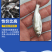 白鲢苗各种规格产地直供提供免费技术指导