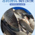 鲫鱼苗