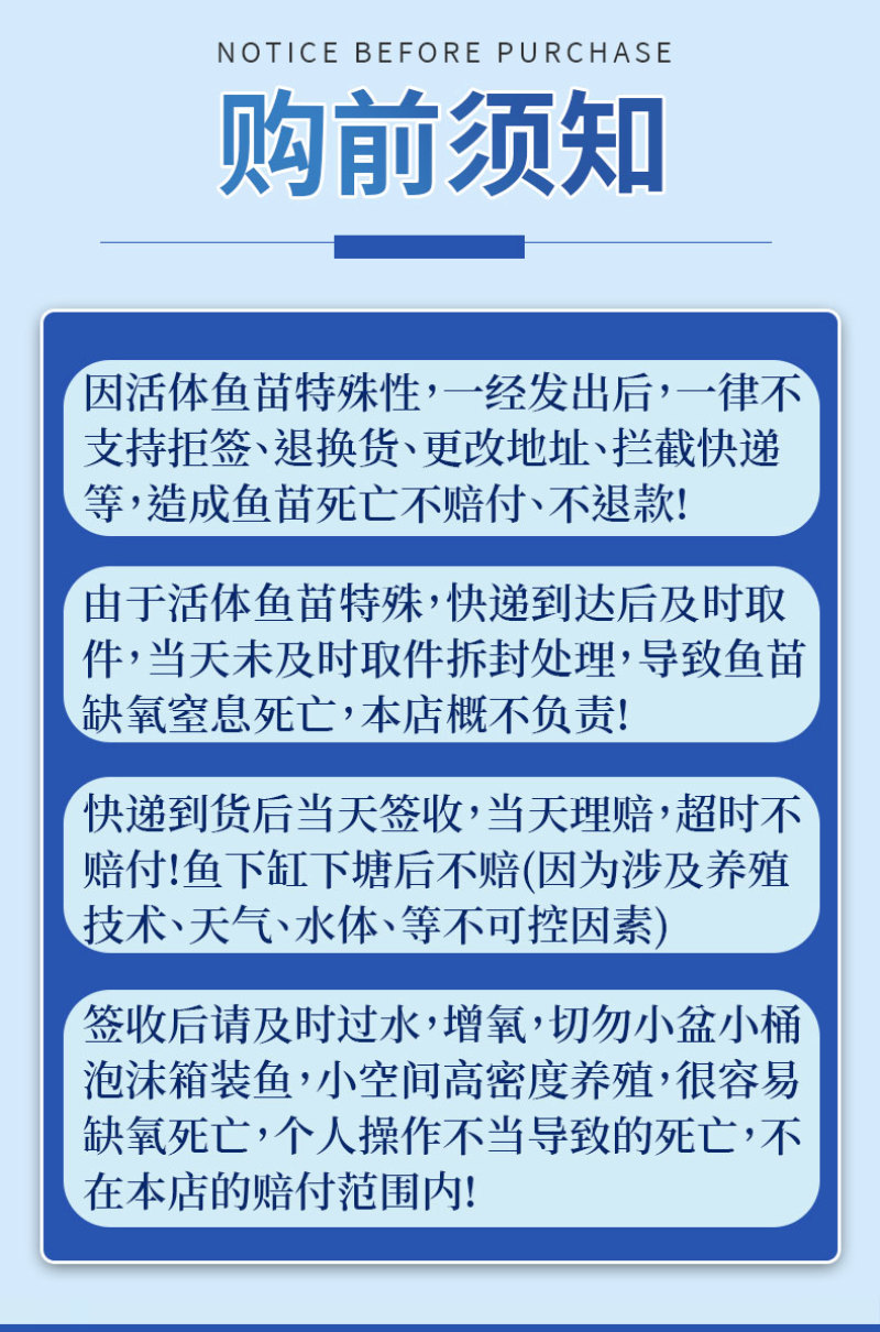 鲫鱼苗